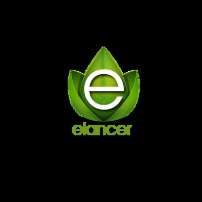 Elancer