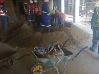 Santuario plastering contractors