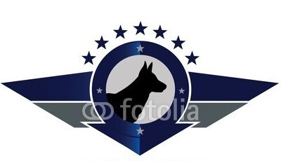 Delta Force security services