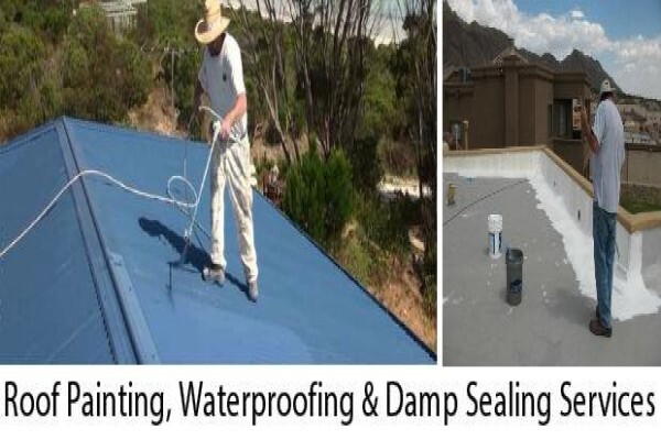 Cape Town Painter & Decorator