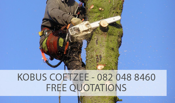 Affordable Treefelling