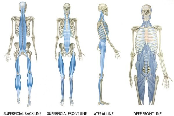 Dr Gert Ferreira Chiropractor