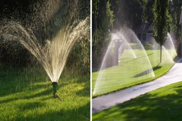 Cape Town Landscaping
