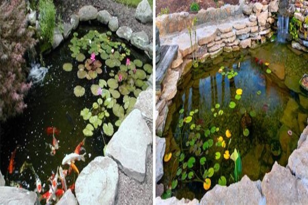 Cape Town Landscaping