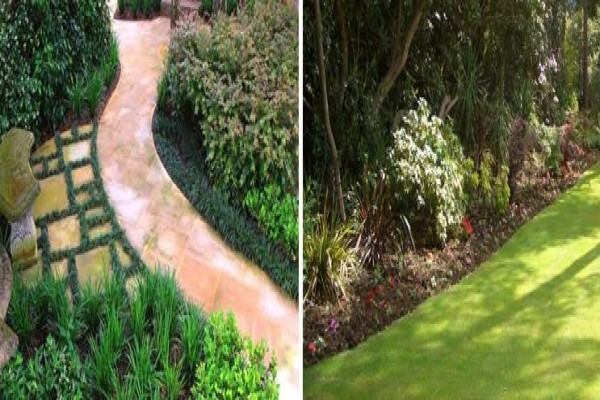 Cape Town Landscaping