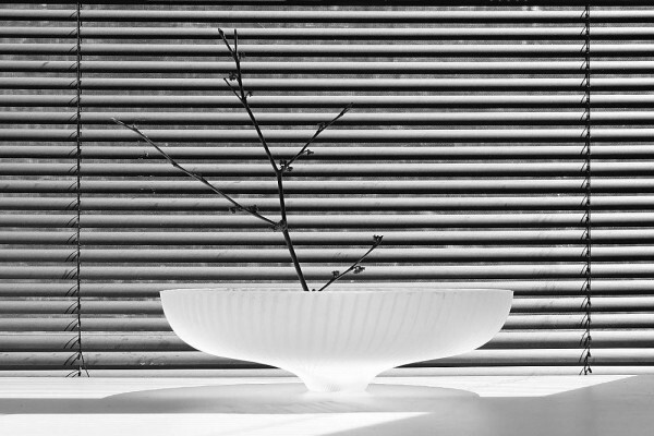 Blinds Cape Town