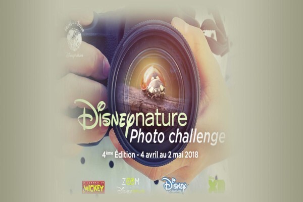 Disney Healthy Living