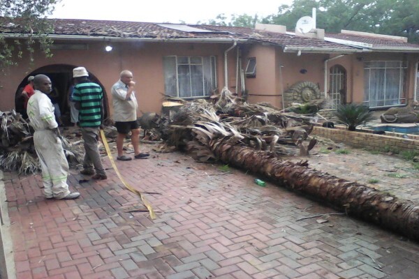 VANDERBIJLPARK TREE FELLERS
