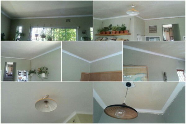 ZAN Plasterers