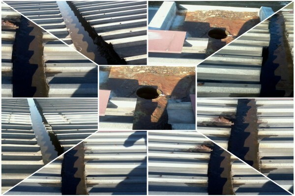 ZAN Plasterers