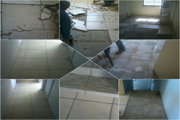 ZAN Plasterers