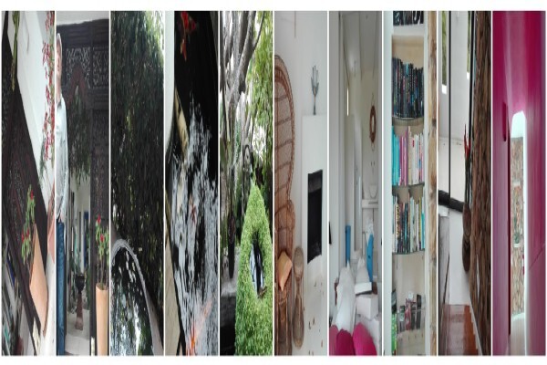 ZAN Plasterers