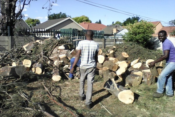 Meyerton Tree Fellers