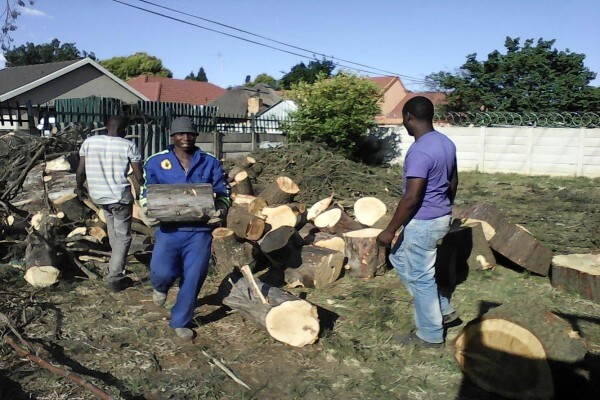 Meyerton Tree Fellers