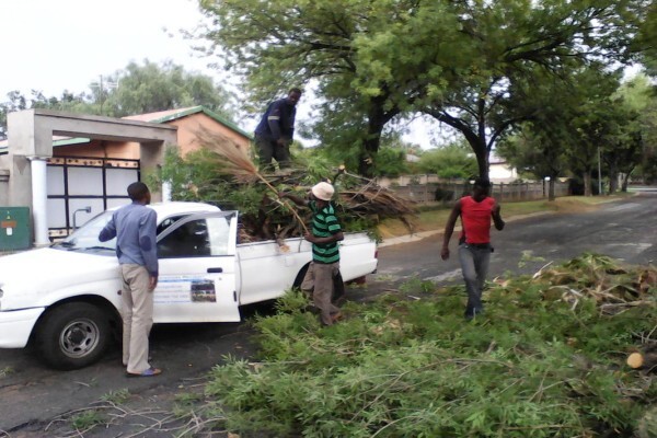 Meyerton Tree Fellers
