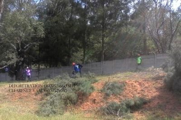 Meyerton Tree Fellers