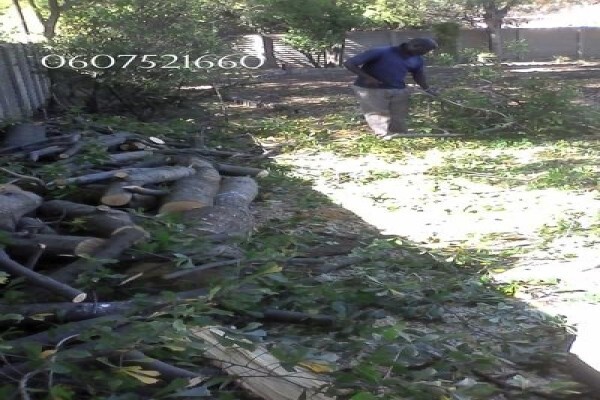 Meyerton Tree Fellers