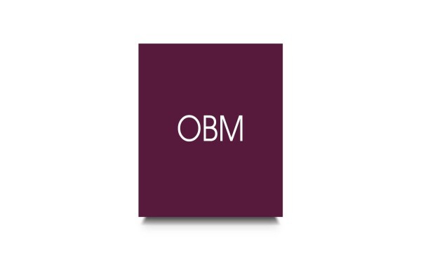 Business Dynamics Consultants