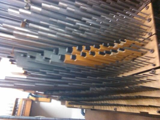 Green Organ Building PTY Ltd