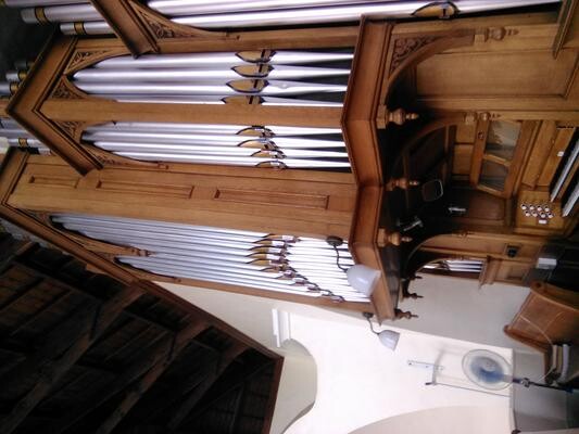 Green Organ Building PTY Ltd