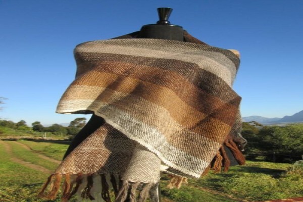 The Alpaca Loom Coffee Shop and Weaving Studio