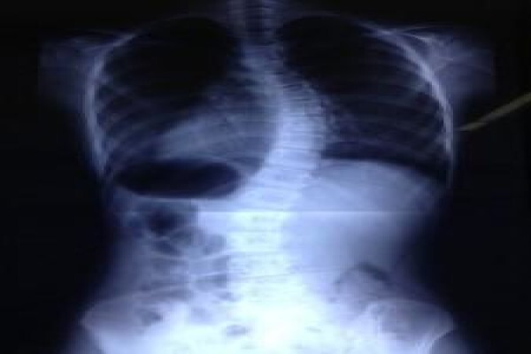 STELLENBOSCH CHIROPRACTIC