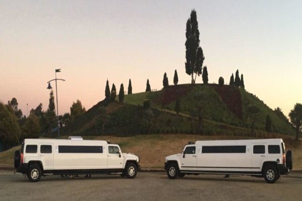 Limo Party Bus Jhb