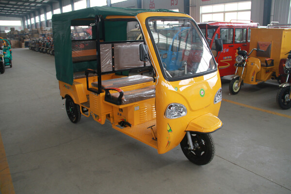 BSC EV South Africa