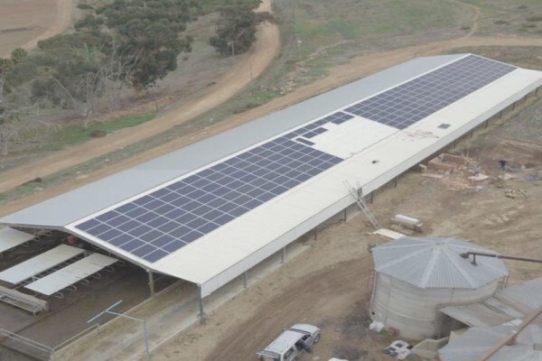 Max Yield Energy