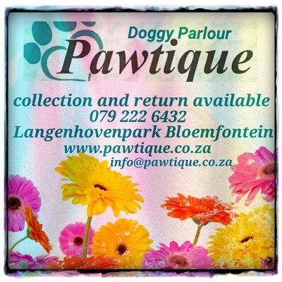 Pawtique Doggy Parlour Honde Salon