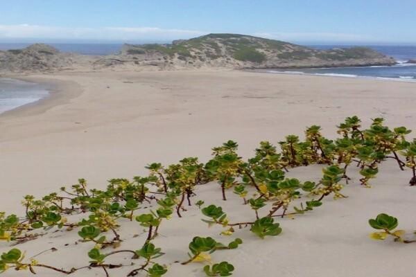 113 Robberg B&B