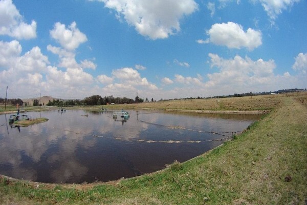Blue Planet PTY Ltd