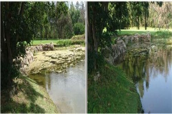 Blue Planet PTY Ltd