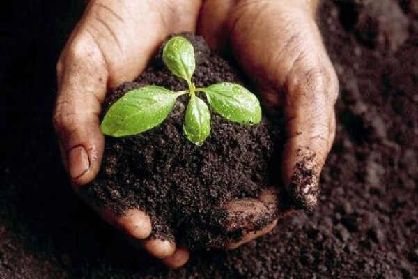 Blue Planet PTY Ltd