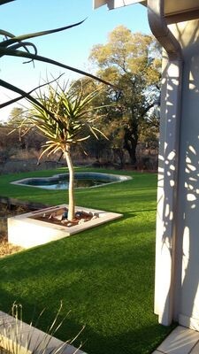Artificial Grass North