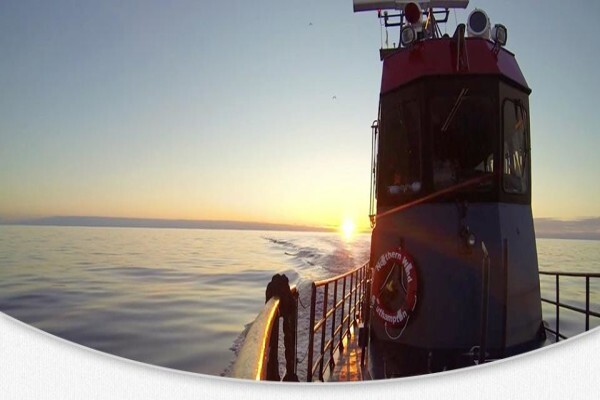 Marine Data Consultants