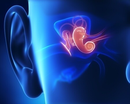 Dr Tanja Beeton Audiology