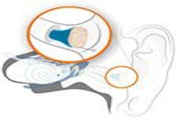 Healthy Hearing