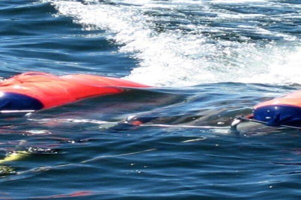 Marine Data Consultants