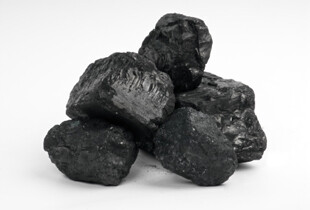 Endoya Coal