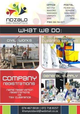 NDZALO EARLY RISERS (PTY)LTD