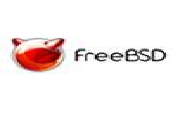 Data First Technology Solutions