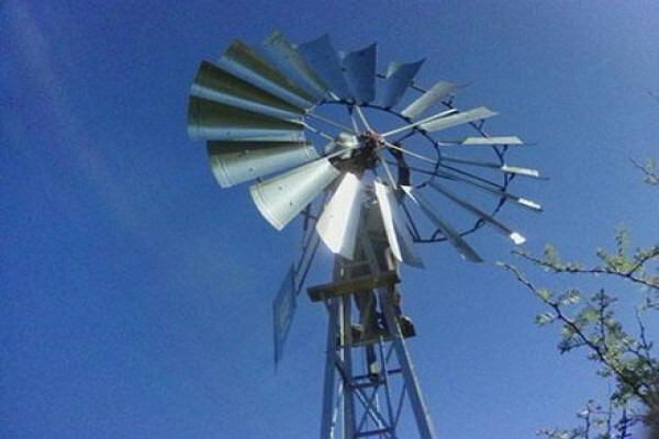 Agri-M (Pty) Ltd