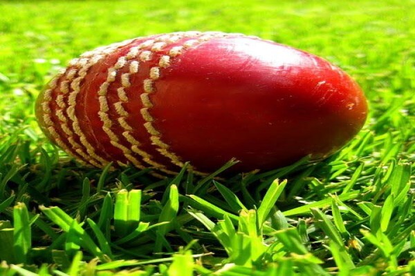 Arcus Career and Sports Consulting
