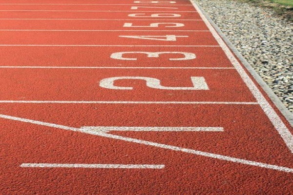 Arcus Career and Sports Consulting