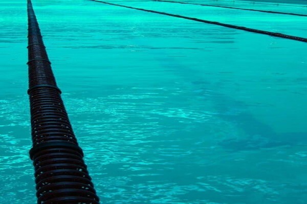 Arcus Career and Sports Consulting