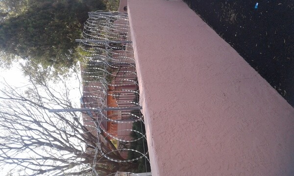 CeF Harvey Thatch, Thatching, Fencing