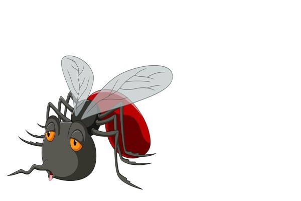 Pest Control Near Me