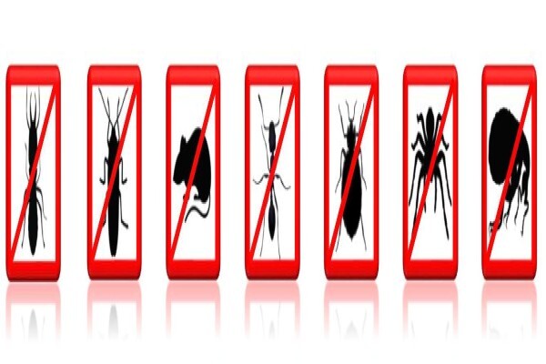 Pest Control Pros Pty Ltd