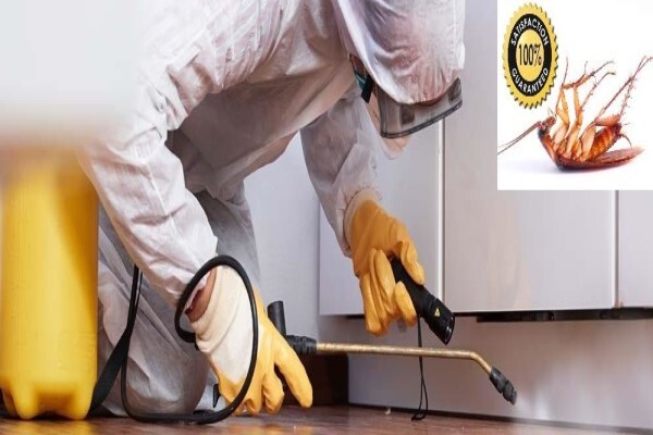 Pest Control Pros Pty Ltd